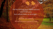 FB Post - Perfectionism - Jackie vs Nietsze. autumn Columnblocks - Jackie van Beest, Mindfulness Leiderschap - www.jvbcoaching.com